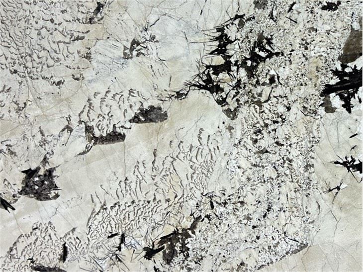 Blanc Du Blanc